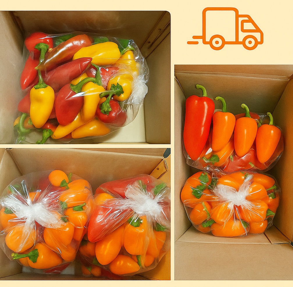 씨없는 미니파프리카 - 5kg