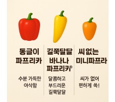 3종합 파프리카 선물세트 - 3kg