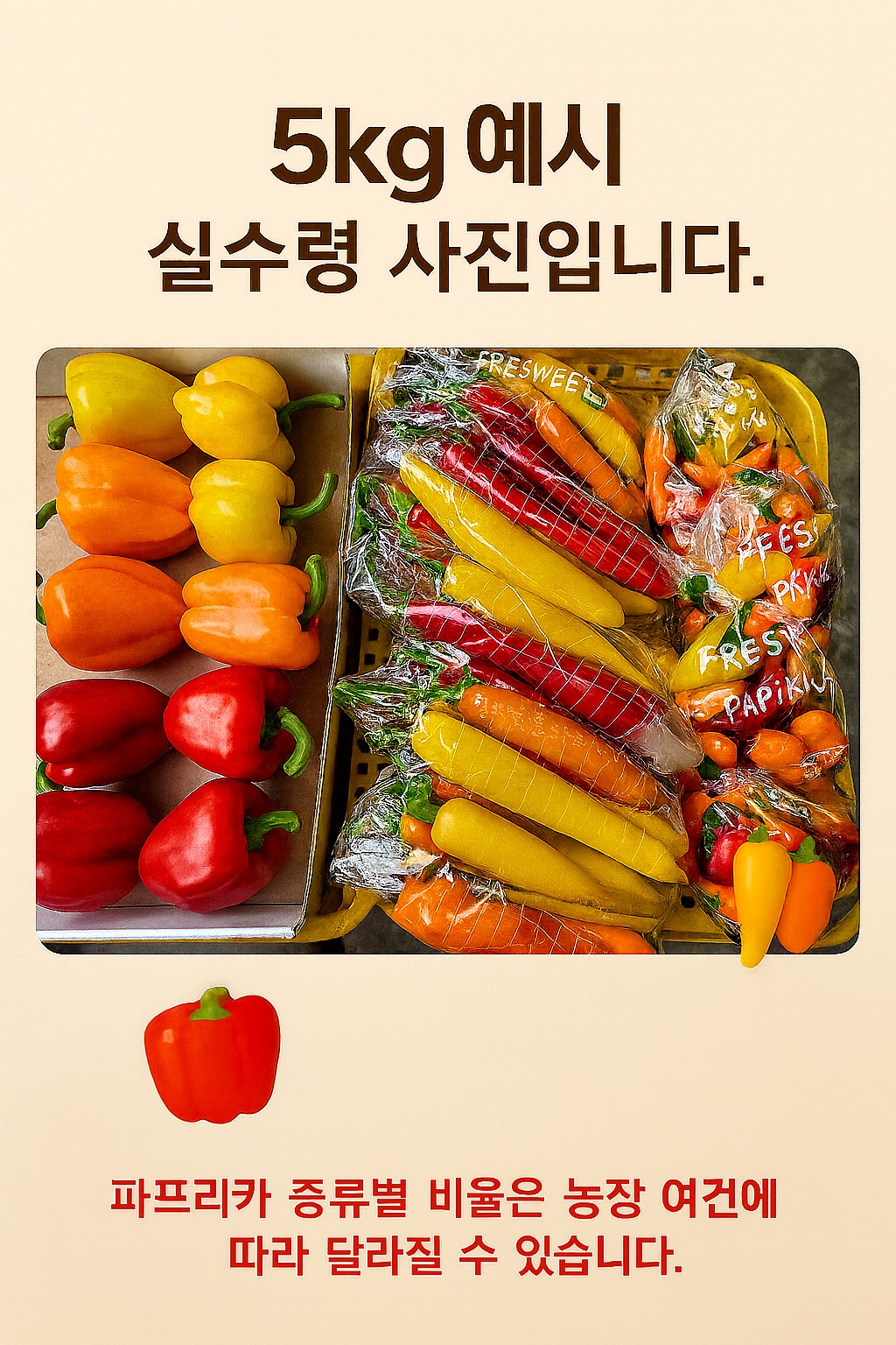 3종합 파프리카 선물세트 - 5kg